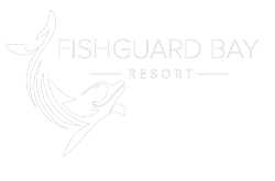 Pegasus Caravan Finance | Fishguard Bay landing page