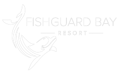 Pegasus Caravan Finance | Fishguard Bay landing page Pegasus Caravan Finance | Fishguard Bay landing page