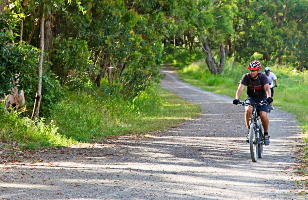 mountain bike trail